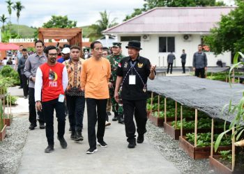 Presiden Joko Widodo Kunjungi Desa Berdaya PLN Peduli Taman Inspirasi Waibu