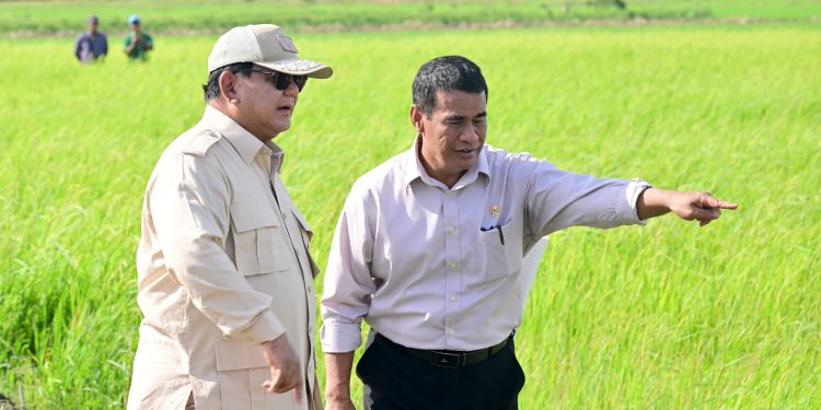 Presiden Prabowo Subianto Tinjau Lahan Pertanian Merauke