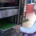 Ririens Food Tingkatkan Produksi Kue Kering Jelang Nataru