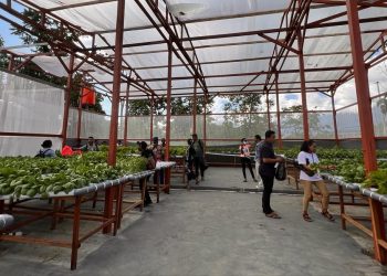 Taman Inspirasi Waibu Pasarkan Produk ke Kalangan Siswa di Jayapura