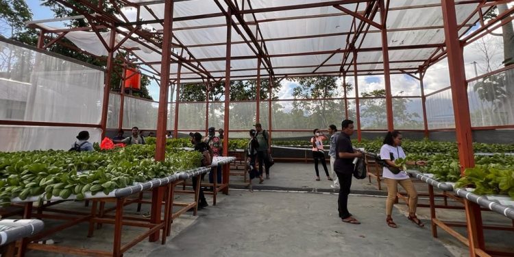 Taman Inspirasi Waibu Pasarkan Produk ke Kalangan Siswa di Jayapura