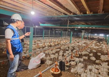 Hingga September, Lebih dari 200 Ribu Petani Naik Kelas Lewat Program Electrifying Agriculture PLN