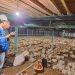 Hingga September, Lebih dari 200 Ribu Petani Naik Kelas Lewat Program Electrifying Agriculture PLN
