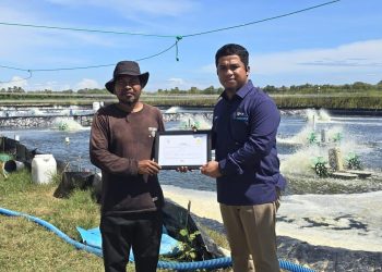 Petani Tambak Udang di Sulsel Hemat Biaya Operasional dan Tembus Pasar Ekspor