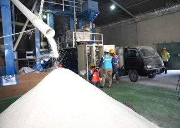 Lewat Electrifying Agriculture PLN, Produksi Penggilingan Padi di Demak Naik Dua Kali Lipat