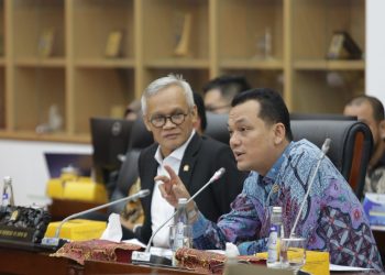 Komisi VI DPR RI Dukung Langkah PLN Terkait Usulan Penyertaan Modal Negara