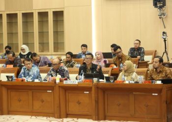 Komisi VII DPR Dukung PLN Lanjutkan Transisi Energi