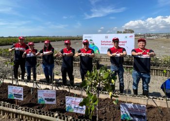 Astra Motor Tanam 10 Ribu Bibit Mangrove