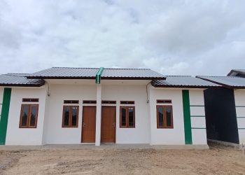 REI Harap Pemkab Merauke Bebaskan BPHTB