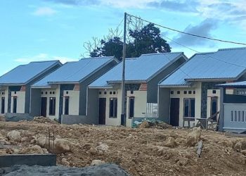 PBG dan BPHTB Gratis, REI Papua : Kesempatan bagi MBR untuk Miliki Rumah