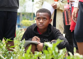 Desa Binaan PLN, Waibu Agro Edu Tourism Jadi Sarana Pembelajaran Kreatif di Jayapura