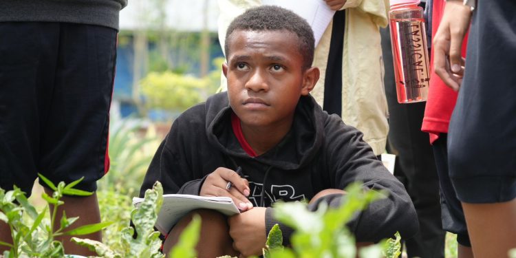 Desa Binaan PLN, Waibu Agro Edu Tourism Jadi Sarana Pembelajaran Kreatif di Jayapura
