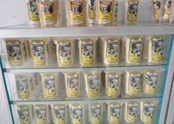 PLN UIP MPA Kembangkan Usaha OIahan Sagu Khas Waraka Maluku