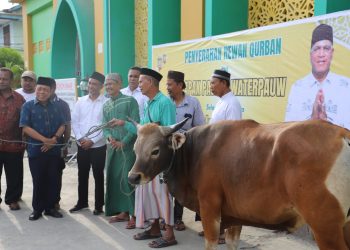 Paguyuban Nusantara, Pendeta hingga Relawan Serahkan Hewan Kurban dari Paulus Waterpauw