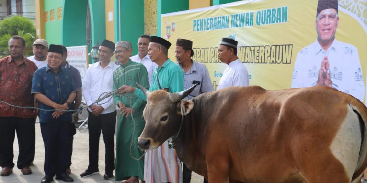 Paguyuban Nusantara, Pendeta hingga Relawan Serahkan Hewan Kurban dari Paulus Waterpauw
