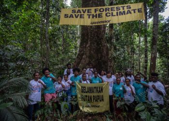 Komunitas Lingkungan Desak Calon Pemimpin Masukkan Perlindungan Hutan Alam Papua saat Kampanye Pilkada