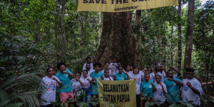 Komunitas Lingkungan Desak Calon Pemimpin Masukkan Perlindungan Hutan Alam Papua saat Kampanye Pilkada