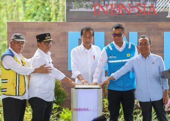 Presiden Jokowi Tandai Pembangunan PLN Hub di IKN