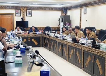 Pansus Aset DPR Papua Sebut 4 Hotel Milik Pemerintah Papua Belum Maksimal Menyumbang PAD