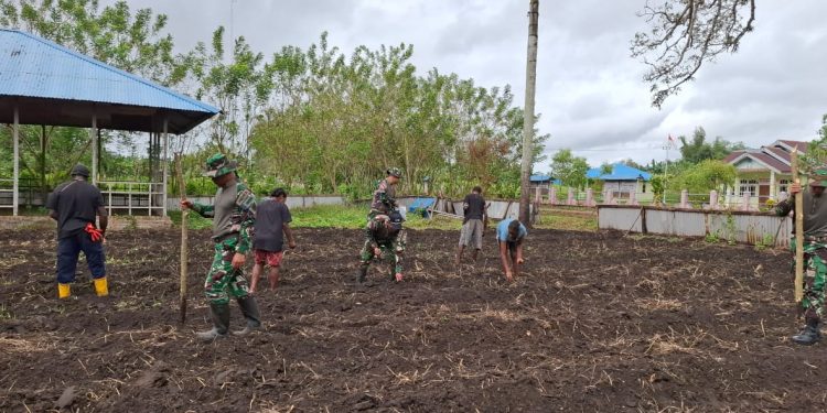 TNI Dampingi Petani Tanam Jagung di Wilayah Perbatasan