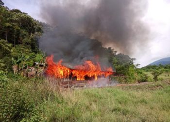 Kapolda : Kantor Distrik Bayabiru di Paniai yang Dibakar Warga Sudah Lama Tidak Digunakan