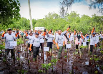 Energizing Green Spaces: Investasi Hijau PLN untuk Ekosistem Jayapura