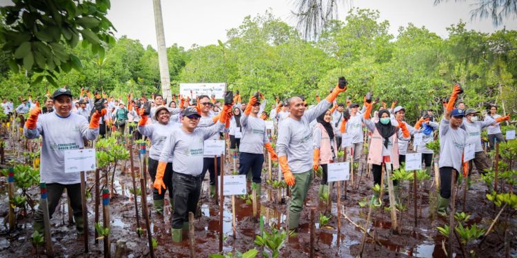 Energizing Green Spaces: Investasi Hijau PLN untuk Ekosistem Jayapura