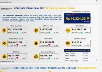 Realisasi Penyaluran TKD Wilayah Papua Minus 7,54 Persen, Ini Sebabnya