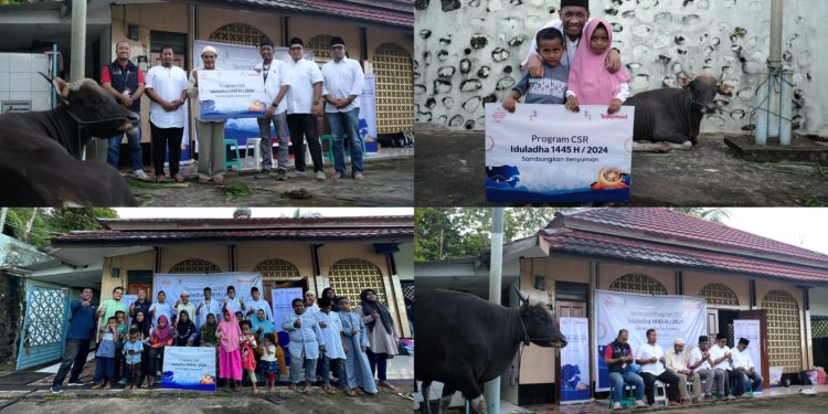 Momen Iduladha 1445 H, Telkomsel Salurkan Ratusan Hewan Kurban