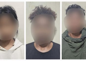 Polisi Bekuk 3 Pemilik Ganja di Jayapura