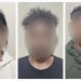 Polisi Bekuk 3 Pemilik Ganja di Jayapura