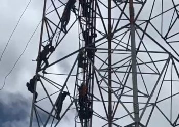 Kronologi Anggota Basarnas di Jayapura Tewas usai Jatuh dari Tower