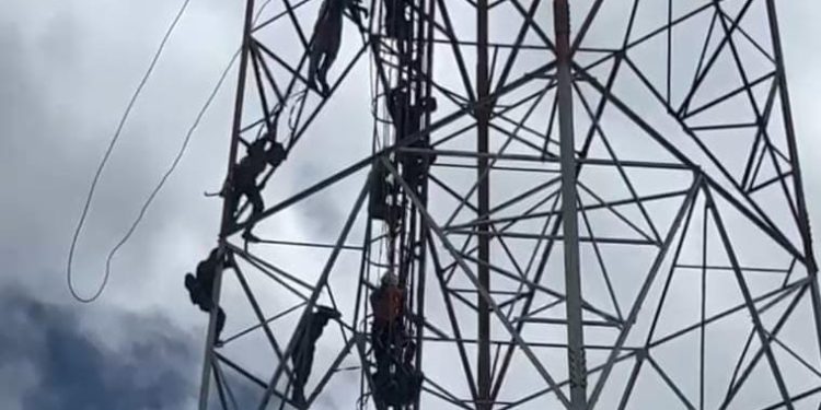 Kronologi Anggota Basarnas di Jayapura Tewas usai Jatuh dari Tower