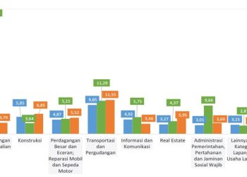 Ekonomi Papua Triwulan II Tumbuh 4,37 Persen, BPS : Melambat Dibandingkan Triwulan Sebelumnya