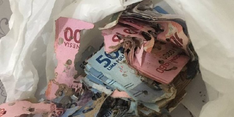 Bank Indonesia Papua Tarik Uang Tak Layak Edar Rp1,6 Triliun