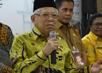 Ini Harapan Pengusaha Papua usai Bertemu Wapres Ma’ruf Amin