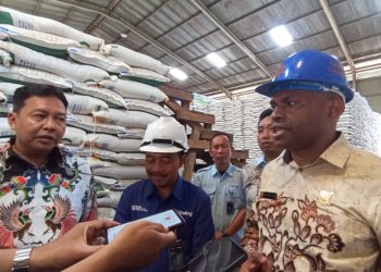 Legislator Temukan Beras Bantuan Pangan Belum Tersalurkan, Begini Penjelasan Perum Bulog Papua