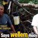 Tokoh Adat Papua Tegaskan Siap Bantu Pemerintah Jaga Kamtibmas