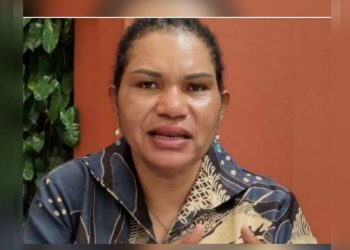 Pemerintah Diminta Seriusi Masalah Gangguan Keamanan di Papua Pegunungan