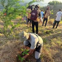 Aksi tanam pohon dalam Gerakan Menanam dan Penghijauan Kembali yang dilaksanakan di Bukit Khambu, Waena, Jayapura. (Foto : Istimewa)
