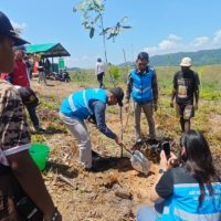 PLN UIP MPA bersama sejumlah instansi pemerintah dan masyarakat melaksanakan Aksi Menanam Pohon Indonesia di Kampung Sabron Yaru, Kabupaten Jayapura, Provinsi Papua. (Foto : Istimewa)