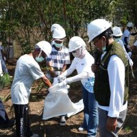 Peduli lingkungan, PLN wujudkan TJSL. (Foto : Istimewa)