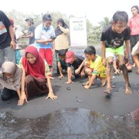 Bersama Program Studi Kehutanan Fakultas Ilmu Alam dan Teknologi Rekayasa (FIATER) Universitas Halmahera (UNIERA) dan Kelompok Konservasi Mamoa, PLN UIP MPA mendukung kegiatan rehabilitasi pesisir melalui penanaman mangrove dan pelepasliaran tukik (Foto : istimewa)
