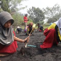 Menanam mangrove dan melepasliarkan tukik menjadi pengalaman berbeda bagi guru dan siswa SD Inpres Mamuya. (Foto : Istimewa)