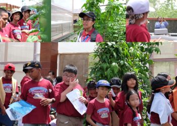 Waibu Agro Edu Tourism, Desa Berdaya PLN Jadi Rujukan Lokasi Belajar Siswa SD di Jayapura