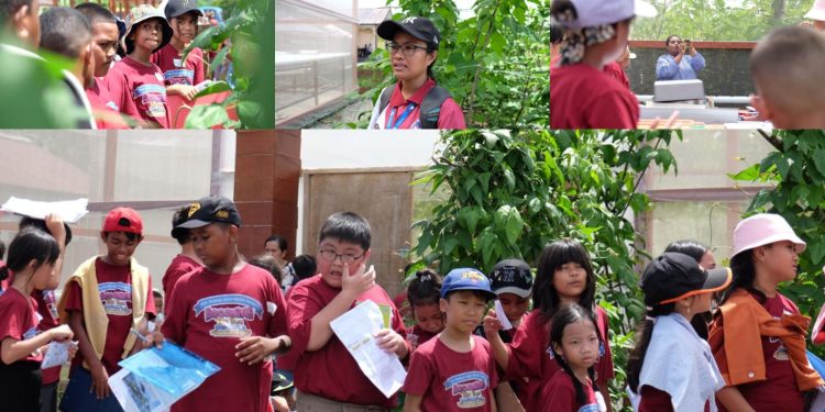 Waibu Agro Edu Tourism, Desa Berdaya PLN Jadi Rujukan Lokasi Belajar Siswa SD di Jayapura